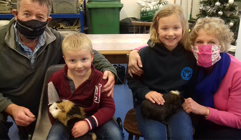 guinea pigs rescued from bin