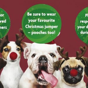 dog friendly christmas carol service